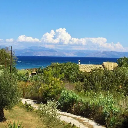 Firefly Christos 14 * Moraḯtika