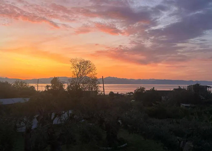 Firefly Christos 14 *